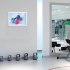 Quadro Decorativo Academia Pilates Halteres Coloridos Malhação