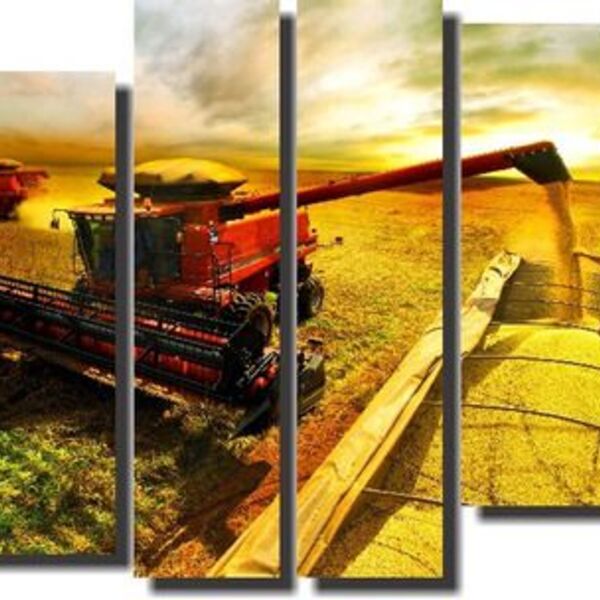 Quadro Decorativo Agricultura Colheitadeira Ceifadeira 6 Peças