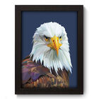 Quadro Decorativo - Águia - 19cm X 25cm - 248qdsp