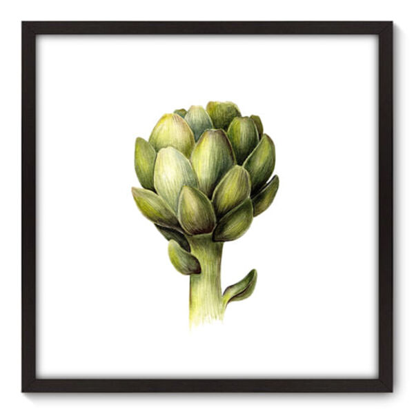 Quadro Decorativo - Alcachofra - 70cm X 70cm - 010qncdp