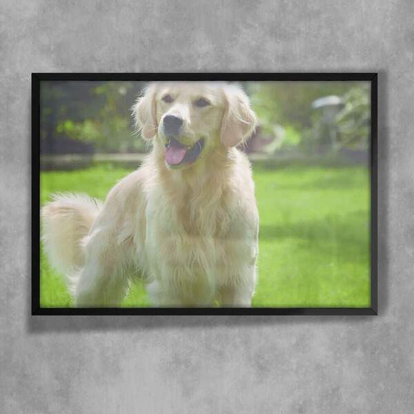 Quadro Decorativo Animais 03 - Cachorro  30x45cm