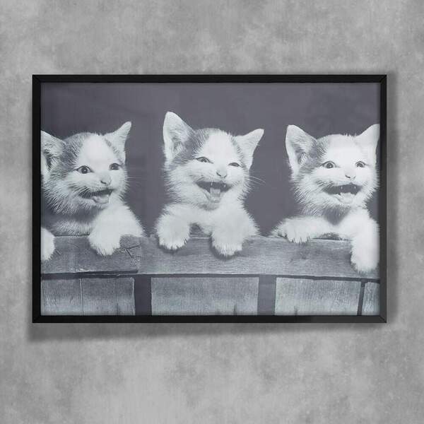Quadro Decorativo Animais 18 - Gatinhos  30x45cm