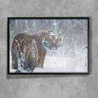 Quadro Decorativo Animais 48 - Tigre  20x30cm