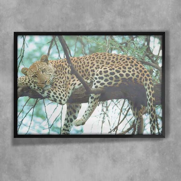 Quadro Decorativo Animais 66 - Onça Pintada  30x45cm