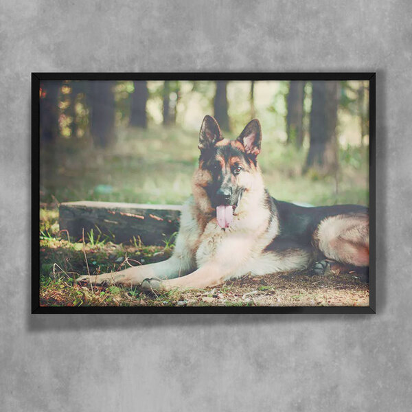 Quadro Decorativo Animais 67 - Cachorro  30x45cm