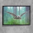 Quadro Decorativo Animais 78 - Coruja Voando  30x45cm