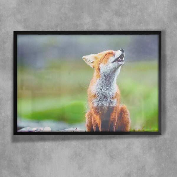 Quadro Decorativo Animais 84 - Raposa Uivando  30x45cm