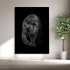 Quadro Decorativo Animais Black Panthe - 90x60 Cm