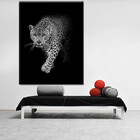Quadro Decorativo Animais Conquer Of The Jungle Jaguar - 200x