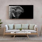 Quadro Decorativo Animais Elephant Black And White - 100x70 Cm
