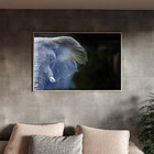 Quadro Decorativo Animais Elephant Black And White Com Moldur