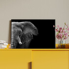 Quadro Decorativo Animais Elephant Black And White Com Moldur