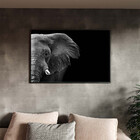 Quadro Decorativo Animais Elephant Black And White Com Moldur