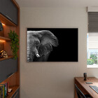 Quadro Decorativo Animais Elephant Black And White Com Moldur