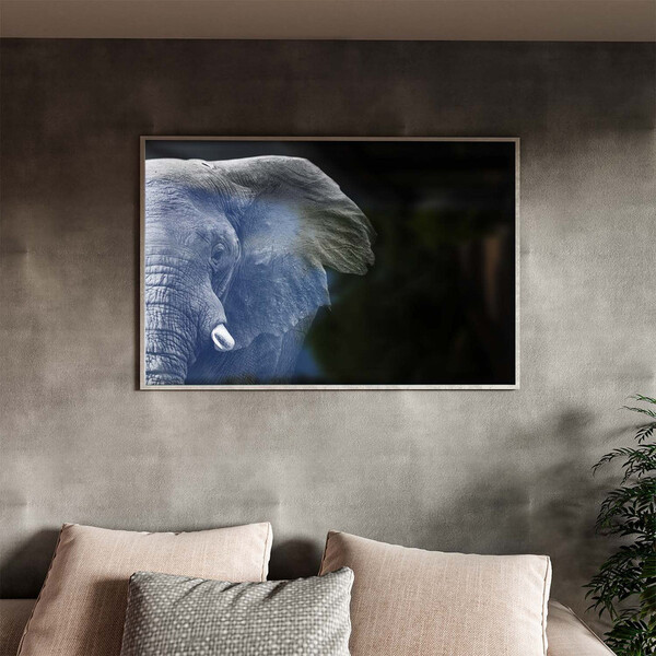 Quadro Decorativo Animais Elephant Black And White Com Moldur