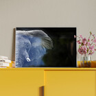 Quadro Decorativo Animais Elephant Black And White Com Moldur