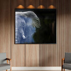 Quadro Decorativo Animais Elephant Black And White Com Moldur