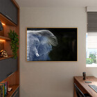 Quadro Decorativo Animais Elephant Black And White Com Moldur