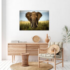 Quadro Decorativo Animais Elephant Natural - 180x135 Cm