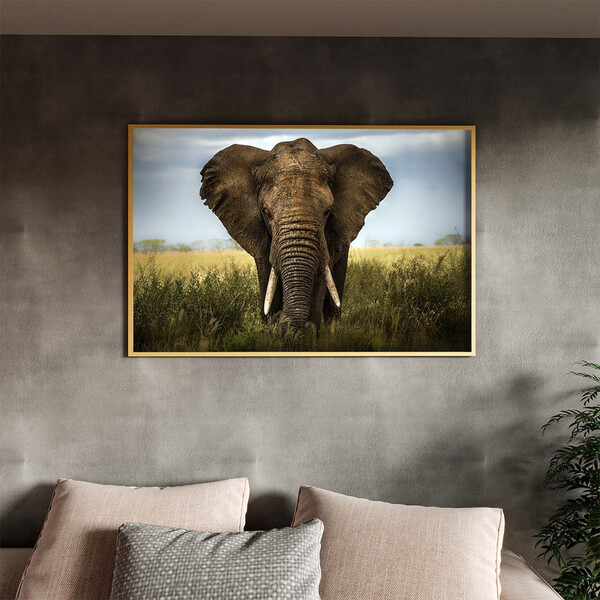 Quadro Decorativo Animais Elephant Natural Com Moldura Dourad