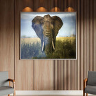 Quadro Decorativo Animais Elephant Natural Com Moldura E Vidr