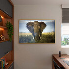 Quadro Decorativo Animais Elephant Natural Com Moldura E Vidr