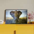 Quadro Decorativo Animais Elephant Natural Com Moldura E Vidr
