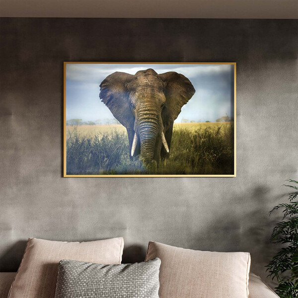 Quadro Decorativo Animais Elephant Natural Com Moldura E Vidr