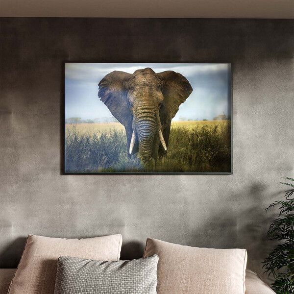 Quadro Decorativo Animais Elephant Natural Com Moldura E Vidr