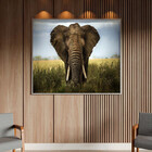 Quadro Decorativo Animais Elephant Natural Com Moldura Prata