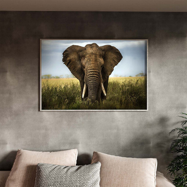 Quadro Decorativo Animais Elephant Natural Com Moldura Prata