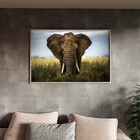Quadro Decorativo Animais Elephant Natural Com Moldura Prata