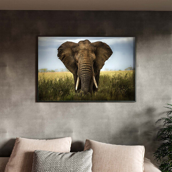 Quadro Decorativo Animais Elephant Natural Com Moldura Preto