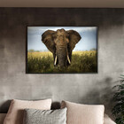 Quadro Decorativo Animais Elephant Natural Com Moldura Preto