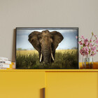 Quadro Decorativo Animais Elephant Natural Com Moldura Preto