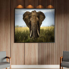 Quadro Decorativo Animais Elephant Natural Com Moldura Preto