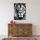 Quadro Decorativo Animais Face De Leão Preto E Branco - 150x1
