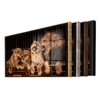 Quadro Decorativo Animais Família Leão Com Moldura Dourada E