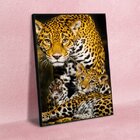 Quadro Decorativo Animais Family Golden Leopard Com Moldura P