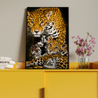 Quadro Decorativo Animais Family Golden Leopard Com Moldura P