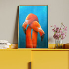Quadro Decorativo Animais Flamingo Couple Com Moldura E Vidro