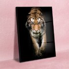 Quadro Decorativo Animais Golden Tiger Com Moldura Preta E Vi