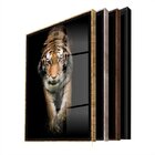 Quadro Decorativo Animais Golden Tiger Com Moldura Preta E Vi