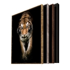 Quadro Decorativo Animais Golden Tiger Com Moldura Preto 180x
