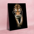 Quadro Decorativo Animais Golden Tiger Com Moldura Preto 200x