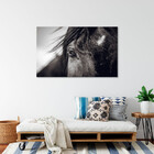 Quadro Decorativo Animais Horse Eye - 100x70 Cm