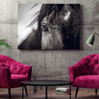 Quadro Decorativo Animais Horse Eye - 100x70 Cm