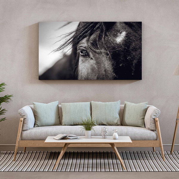 Quadro Decorativo Animais Horse Eye - 120x60 Cm