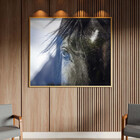 Quadro Decorativo Animais Horse Eye Com Moldura E Vidro Doura