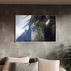 Quadro Decorativo Animais Horse Eye Com Moldura E Vidro Prata